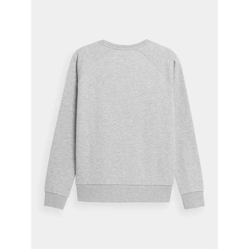 Bluza 4F W 4FSS23TSWSF370-27M S na Arena.pl