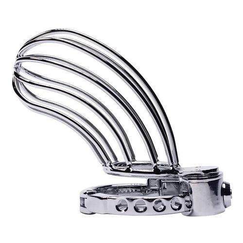 Stainless Steel Penis Cage 2 With Advanced Locking Mechanism na Arena.pl