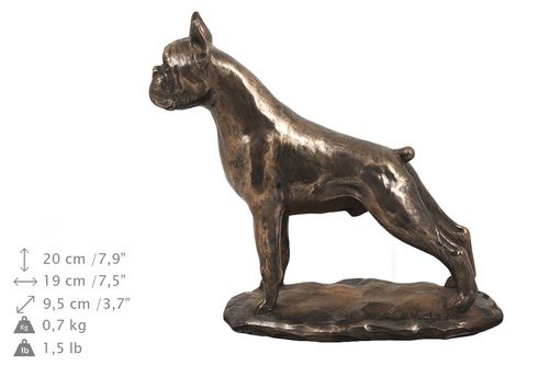 Bokser cropped- eksluzywna urna na Arena.pl