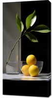 Obraz 50x100cm Cytrusowa Aranżacja
