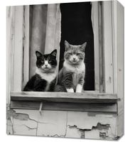 Obraz 50x60cm Para w Oknie