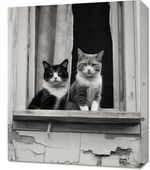 Obraz 50x60cm Para w Oknie