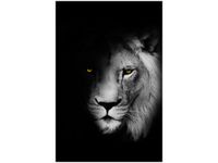 product-compare-58649583