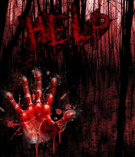 SZTUCZNA KREW W BUTELCE POJ. 450 ML HALLOWEEN CHARAKTERYZACJA 0,45 LITRA na Arena.pl