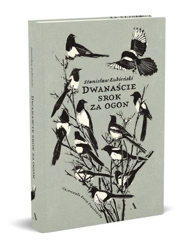 Dwanaście srok za ogon na Arena.pl