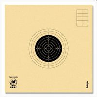 Tarcze strzeleckie Kruger karabin 10x10 mm KPN 10m ISSF - 250 szt