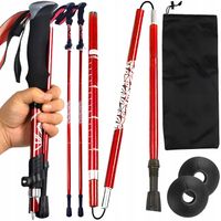 KIJE NORDIC WALKING KIJKI SKŁADANE REGULOWANE DO CHODZENIA TELESKOPOWE