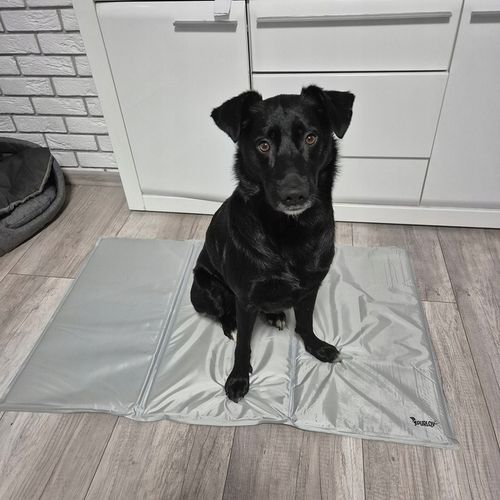 Mata Chłodząca dla Psa Kota Zwierząt Żelowa Składana XXL Legowisko 110x70cm na Arena.pl