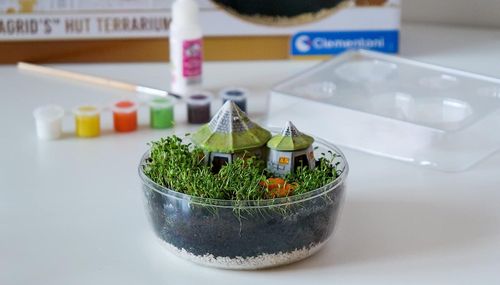 !!! CLE Harry Potter Terrarium 19248 na Arena.pl