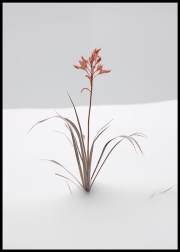 Plakat 67,5x95cm Subtelność Natury na Arena.pl