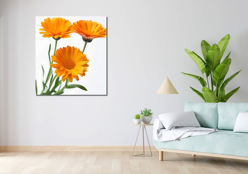 Obraz 90x100cm Słoneczne Kalendule zdjęcie 2