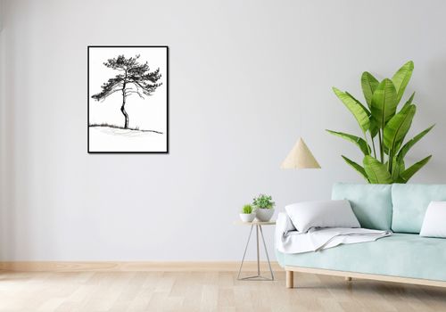 Plakat 60x80cm Samotna Sosna na Arena.pl