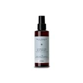 ARTEGO Rain Dance Hydrating Milk Spray odżywka nawilżająca w sprayu, 150 ml