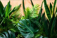 Tło fotograficzne Produktowe FLAT LAT Kulinarne