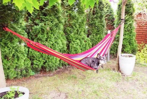 Hamak Ogrodowy 200x80 Lato 1os. + GRATIS !!! zdjęcie 5