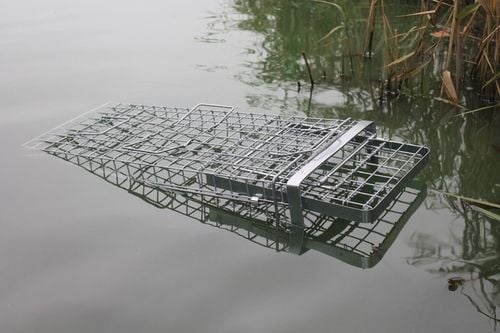 ZYWOŁAPKA PUŁAPKA NA KUNY LISY KOTY BOBRY WYDRY na Arena.pl