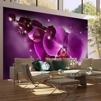product-compare-63632651