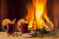 FOTOTAPETA kuchenna PŁOMIEŃ KOMINEK SZYSZKI ŚWIERK