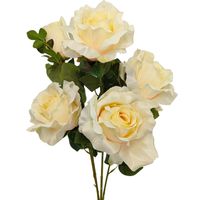 Bukiet róża gigant x5 kremowo żółty