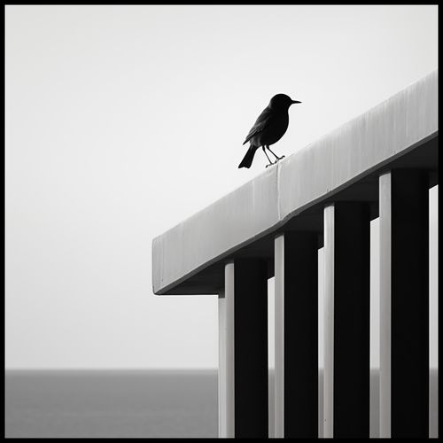 Plakat 90x90cm Samotna Odchłań na Arena.pl