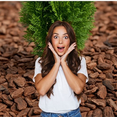 KORA SOSNOWA 80-130mm 8-13cm PREMIUM SORTOWANA MEGA GRUBA 50L na Arena.pl