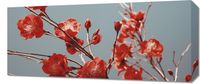 Obraz 70x30cm Szkarłatna Wiosna