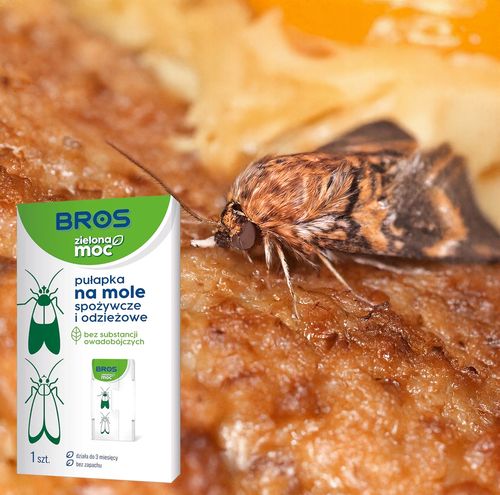 bros - zielona moc pułapka na mole spożywcze i odzieżowe - 1 szt. na Arena.pl
