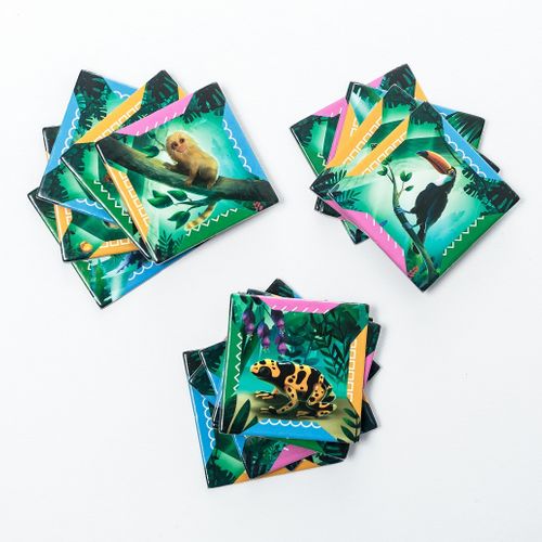 Gra Odkrywcy: Amazonia na Arena.pl