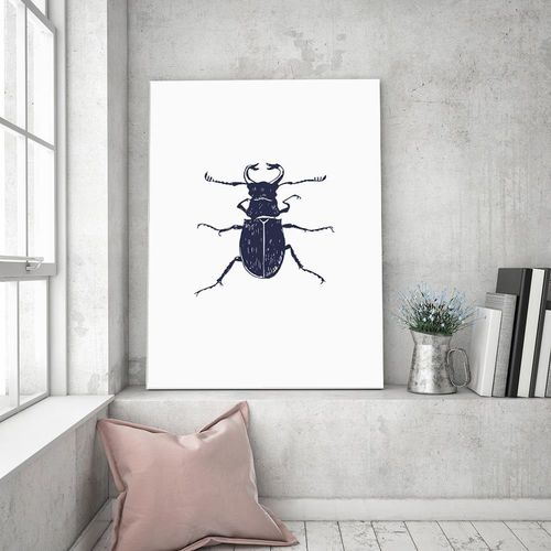 Obraz na płótnie – Canvas, czarny chrabąszcz 60x90 na Arena.pl