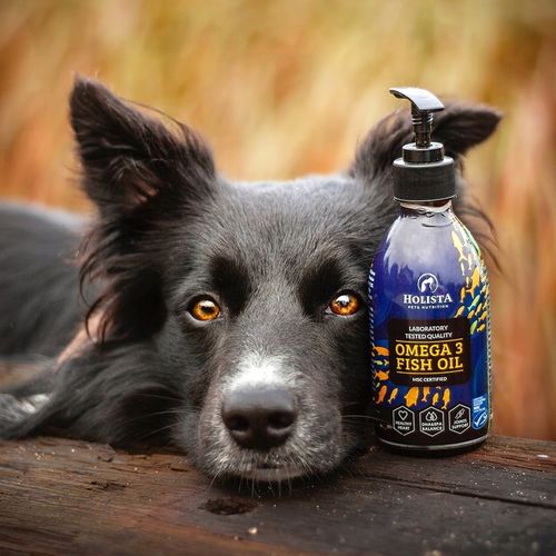HOLISTA Olej OMEGA 3 Fish Oil dla Psa KOTA KWASY OMEGA EPA DHA BARF 100ml na Arena.pl