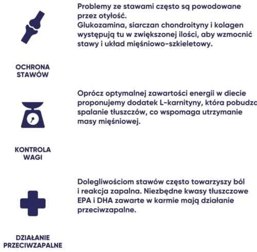 Arion Care Joint 2kg na Arena.pl