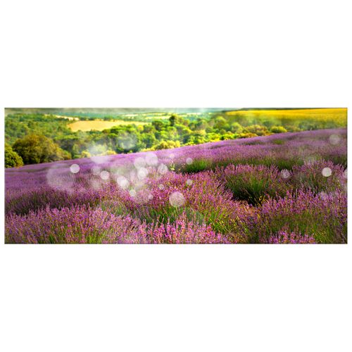 100X40 Obraz Na Płótnie Do Salonu na Arena.pl