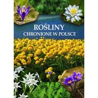 rośliny chronione w polsce album atlas roślin oprawa twarda 32 str