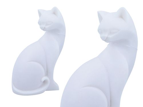 Kot duży na Arena.pl