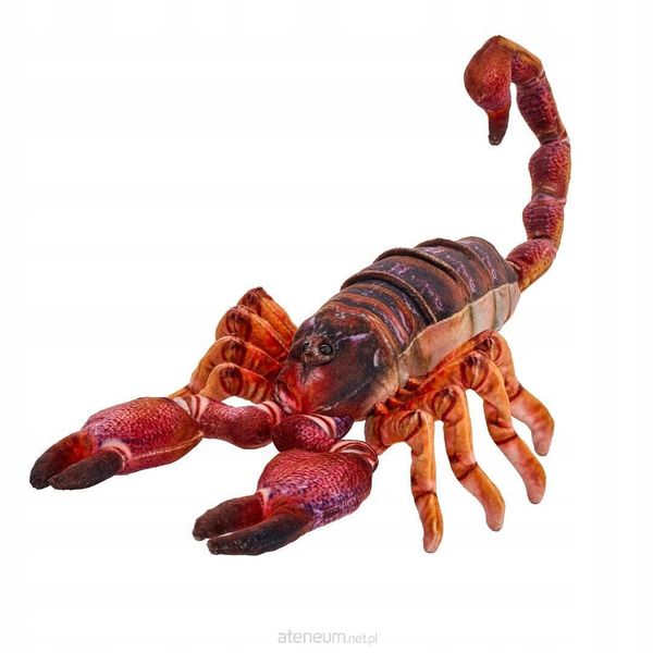 Skorpion brązowy 38cm zdjęcie 2