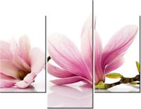 product-compare-58682215