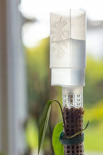 SPHAGROW AQUADRIP Nawadniacz kropelkowy do palika SPHAGROW D-6-25 na Arena.pl