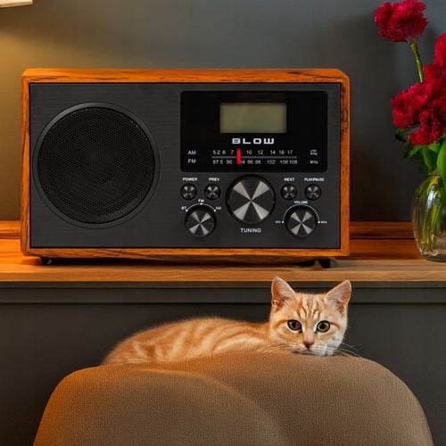 RADIO KUCHENNE RETRO PRZENOŚNE BLUETOOTH ZEGAR LCD FM ANTENA AUX USB-C na Arena.pl