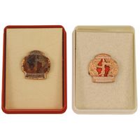 Oryginalne przypinka NVA