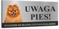 Tabliczka UWAGA ZŁY PIES - SZPIC MINIATUROWY alu