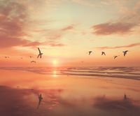 Plakat 60x50cm Spokojna Przystań