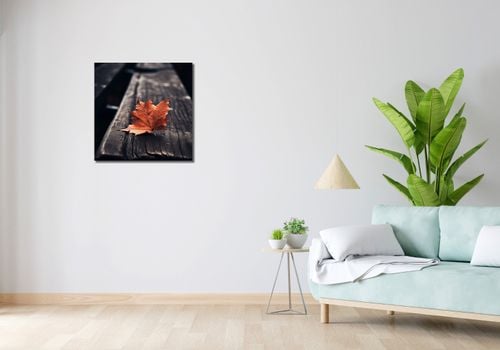 Obraz 60x60cm Pojedynczy Liść na Arena.pl