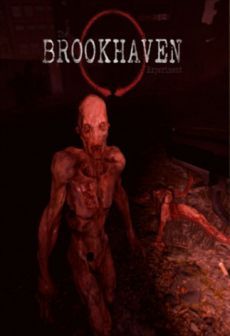 The Brookhaven Experiment VR - KLUCZ STEAM na Arena.pl