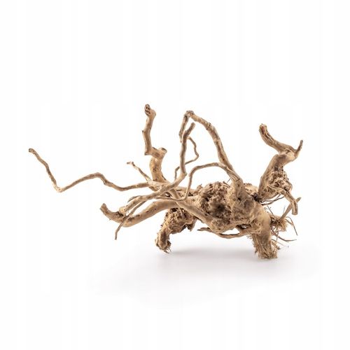 KORZEŃ DO AKWARIUM Red Moor Wood M 30cm OKAZY PREMIUM na Arena.pl