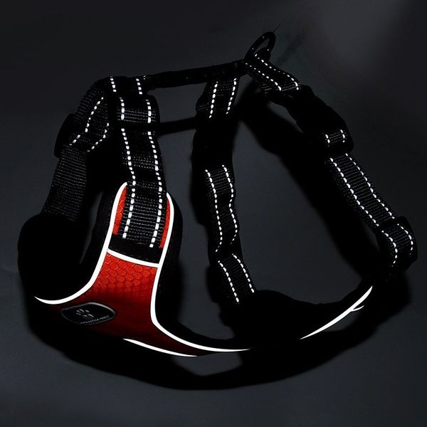 Szelki treningowe spacerowe dla psa ASTRO pomarańczowe rozmiar XL zdjęcie 11