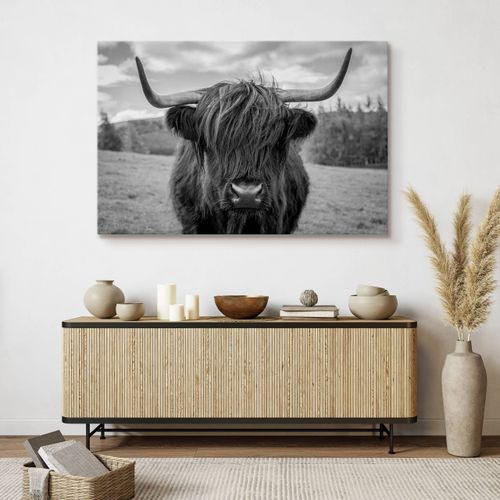 Obraz Do Sypialni Krowa Szkocka Na Tle Traw Czarno-Biały 90cm x 60cm na Arena.pl