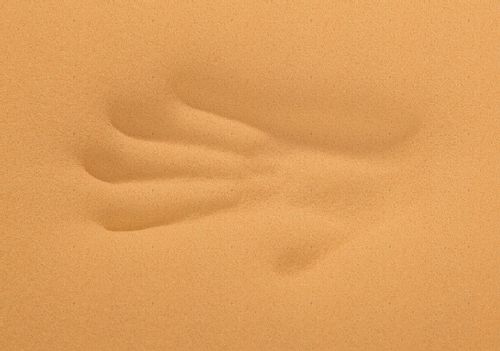 MATERAC COMFORT VISCO 90x190 SPRĘŻYNY KIESZENIOWE  MULTIPOCKET 22 cm na Arena.pl