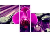 90X50CM FIOLETOWE SPOJRZENIE TRÓJ OBRAZ ŚCIANY