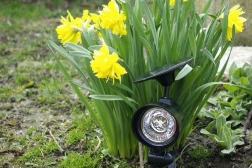 Reflektor solarny LED, zimny biały na Arena.pl