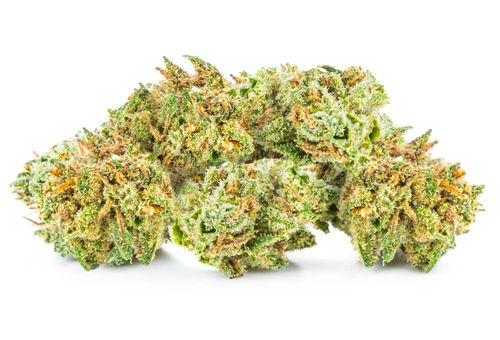 Susz konopny CBD | Amnesia Haze | HOLENDER | 1g na Arena.pl